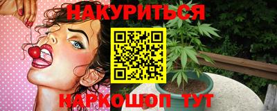 шишки Шелехов