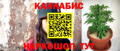 шишки Шелехов