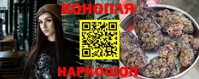 шишки Шелехов