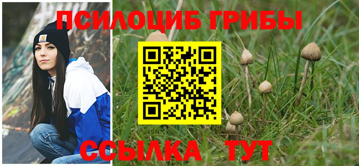 Архангельск  Галлюциногенные грибы мицелий  купить закладку  Псилоцибиновые грибы Psilocybine cubensis  Вход с VPN 